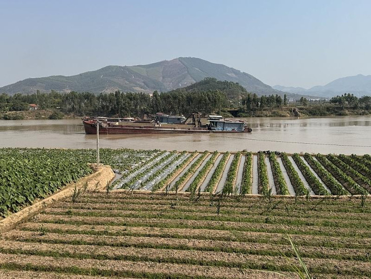 Công ty TNHH Khai thác khoáng sản Hồng Phát bị xử phạt 520 triệu đồng do khai thác cát trái phép tại lòng sông xã Bắc Lũng, huyện Lục Nam. (Ảnh TTTĐ)