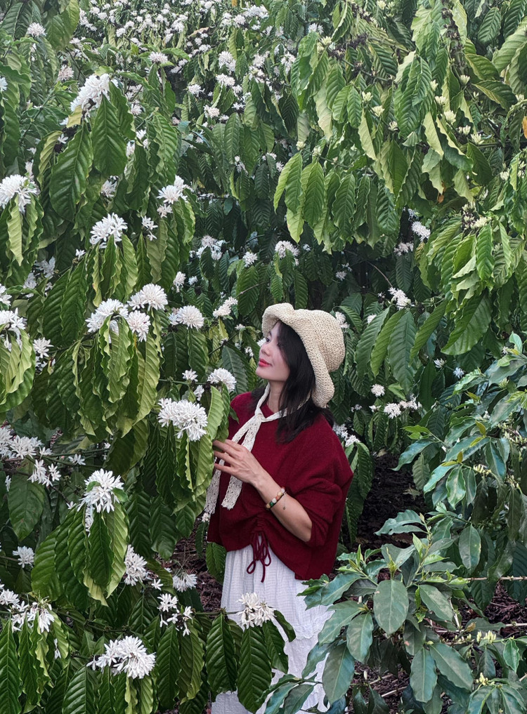 Du khách thích thú check-in mùa hoa cà phê. Ảnh: LQT