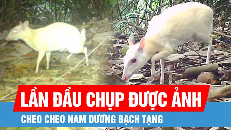 Dat bay anh, bat ngo phat hien 
