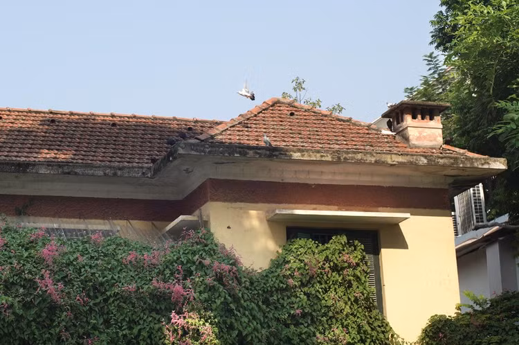 Thật thanh bình khi trong nắng thu, chú chim bồ câu bay trên nóc một căn biệt thự cổ.