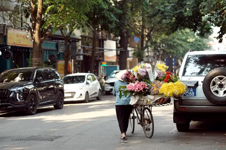 Bạn cũng sẽ dễ dàng bắt gặp những chiếc xe đạp chở đầy những loại hoa đặc trưng của mùa thu Hà Nội rong ruổi khắp các phố phường như cúc họa mi, hoa cúc vàng, cúc thạch thảo, hoa ly…