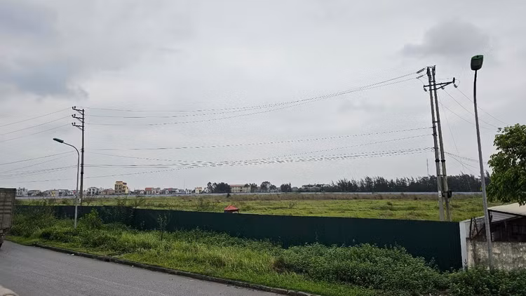 Khu đất thực hiện dự án nhà máy sản xuất đồ gỗ nội thất của Công ty CP Tân Hoàng Minh Hải Dương hiện vẫn là bãi đất trống