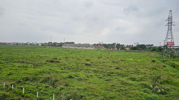 Dự án nhà máy chế biến, tổng kho bảo quản rau, củ, quả của Công ty CP Vinamit hơn chục năm chưa triển khai