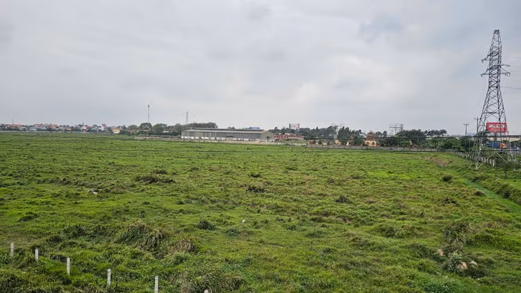 Dự án nhà máy chế biến, tổng kho bảo quản rau, củ, quả của Công ty CP Vinamit hơn chục năm chưa triển khai