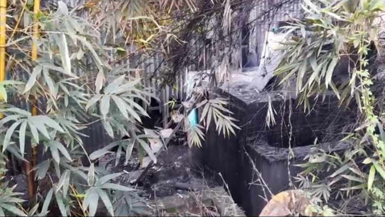 Miệng cống nước thải đen xì. Miệng cống nước thải đen xì.