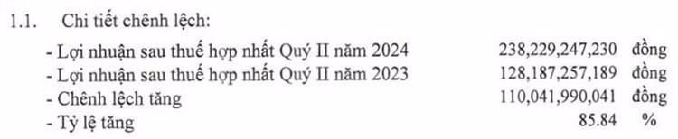Lợi nhuận sau thuế hợp nhất quý II/2024 của Nhựa Tiền Phong