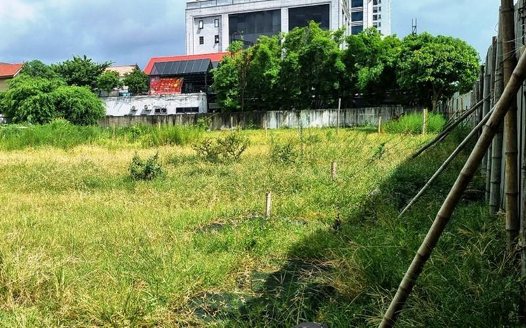 Phía trong dự án của Tổng Công ty Hợp tác Kinh tế Việt Lào, cỏ, cây dại đua nhau mọc um tùm. Ảnh: Trần Quốc.