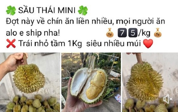 Sầu Thái mini giá rẻ rao bán trên chợ mạng
