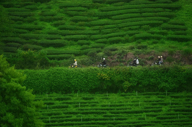 Đà Lạt mộng mơ - điểm đến lý tưởng cho dân phượt