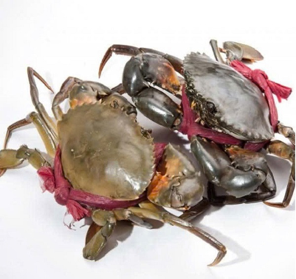 Giá cua Cà Mau vượt mốc 1,1 triệu đồng/kg