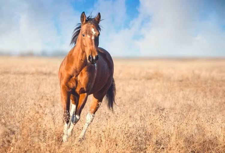 Dự đoán tài vận 12 con giáp năm 2025: 3 tuổi giàu kịch nóc - Hình 22 Du doan tai van 12 con giap nam 2025: 3 tuoi giau kich noc-Hinh-22