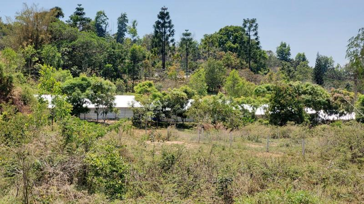 : Dự án vẫn chỉ là khu đất bỏ hoang, phí phạm.