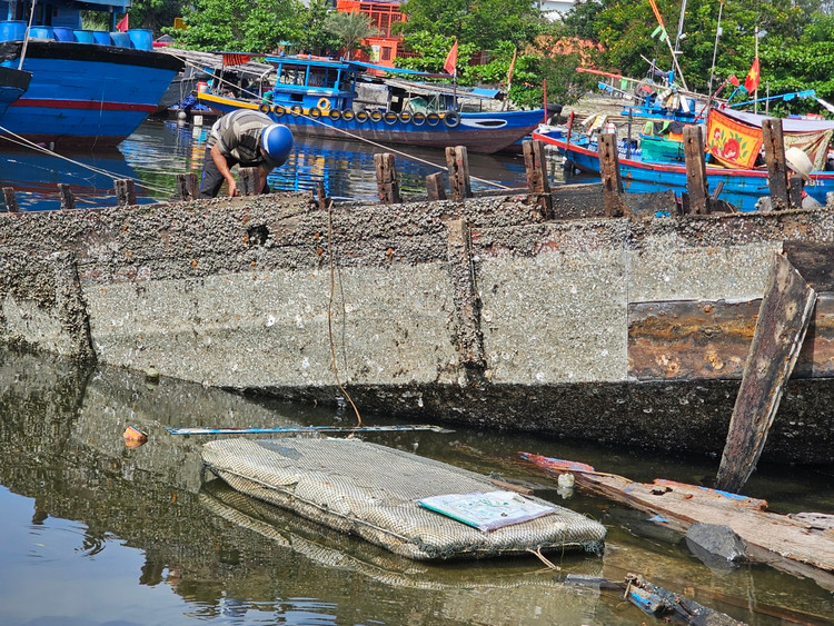 Vịnh Mân Quang trở thành &quot;điểm đến lý tưởng&quot; cho các loại tàu, sà lan hỏng. Nhiều xác tàu mục nát nằm trơ khung. Mảnh vỡ từ các con tàu bị vứt chỏng chơ, đinh nhọn gỉ sét nằm ở nhiều nơi.
