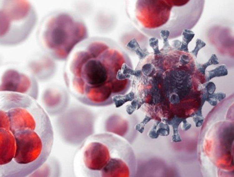 Phương pháp mới chống ung thư không cần thuốc, không xâm lấn - Ảnh minh hoạ