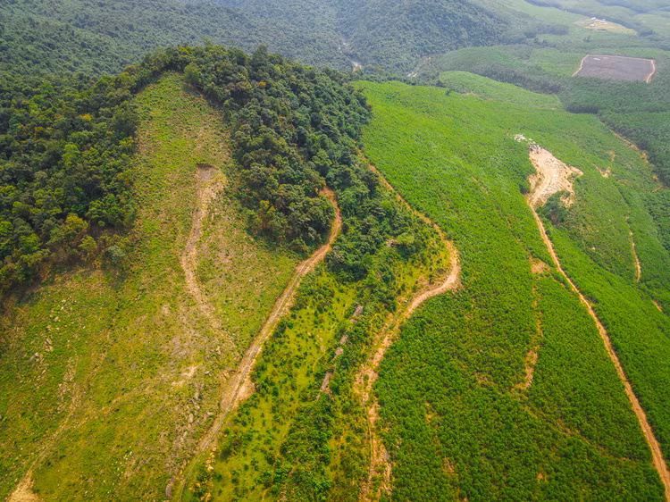 Hiện còn khoảng hơn 1,5km thành đá cổ còn nguyên vẹn.