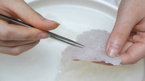 Gắp những phần lông yến còn sót lại trong tổ yến.