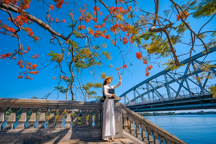 Hoa phượng bên cầu Trường Tiền. Ảnh: Trường Bùi.