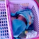 Phát hiện bé trai hơn 1 tháng tuổi trong làn nhựa kèm thư của mẹ tại Gia Lai