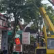 Tai nạn lao động tại Gia Lai khiến 1 người tử vong và 2 bị thương