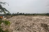 Hơn 324 tấn vỏ hàu đổ trái phép bên ao, chủ cơ sở bị khởi tố