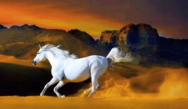 Tháng 11 chạm mặt quý nhân, 4 con giáp sự nghiệp lên hương - Hình 5 Thang 11 cham mat quy nhan, 4 con giap su nghiep len huong-Hinh-5