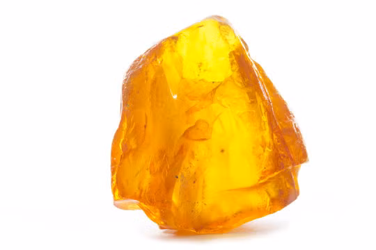 Nhat duoc cuc da la o suoi, nao ngo la bau vat quoc gia-Hinh-9