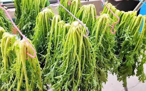 Tăng cường sức khỏe mắt: Cải mizuna chứa một lượng khá lớn vitamin A. Nó cũng là một nguồn tốt để cung cấp lutein – một loại carotenoid có tính chất chống oxy hóa có thể giúp bảo vệ tầm nhìn và sức khỏe mắt của bạn. Các nghiên cứu chỉ ra rằng việc tăng lượng lutein có thể làm giảm nguy cơ rối loạn như thoái hóa điểm vàng liên quan đến tuổi tác.