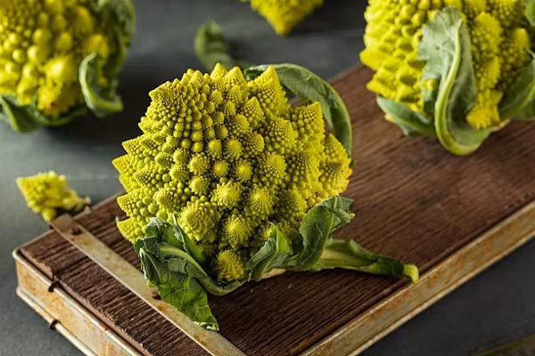 Loại rau hình xoắn ốc độc đáo, hương vị thơm ngon giúp kiểm soát đường huyết. Ảnh minh họa