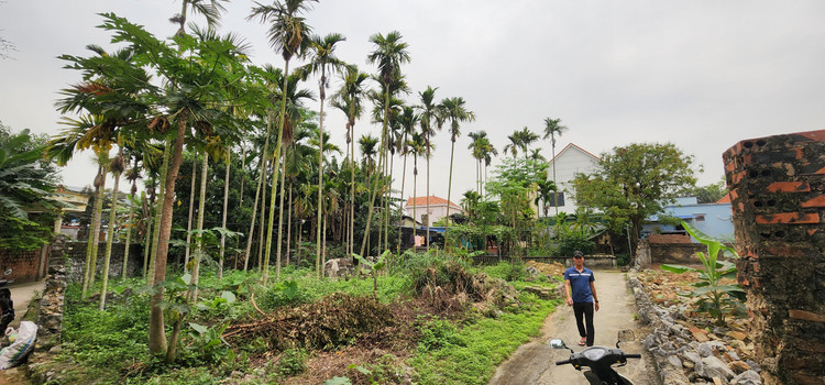 Hiện trạng diện tích đất đang tranh chấp Hiện trạng diện tích đất đang tranh chấp