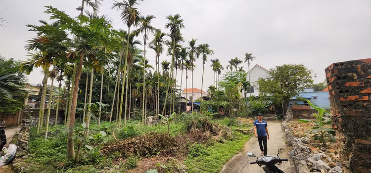 Hiện trạng diện tích đất đang tranh chấp Hiện trạng diện tích đất đang tranh chấp