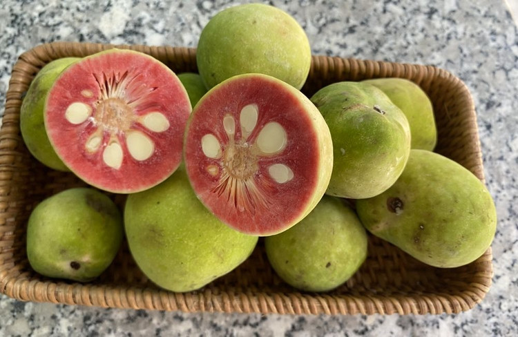 Loại quả xưa rụng đầy gốc ít ai đoái hoài, nay được nhiều người săn lùng. Ảnh minh họa