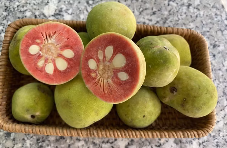 Loại quả xưa rụng đầy gốc ít ai đoái hoài, nay được nhiều người săn lùng. Ảnh minh họa