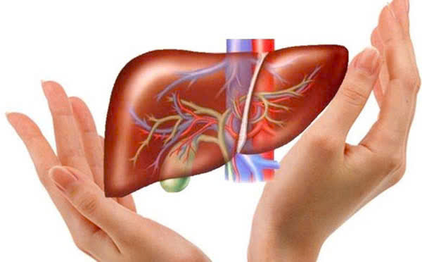 Hình minh hoạ/ Nguồn: Internet