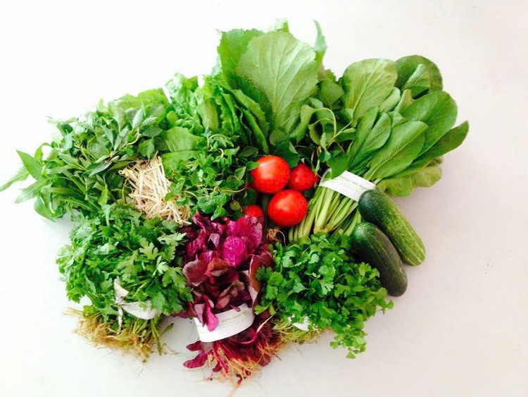 Ảnh minh hoạ/ Nguồn: Internet