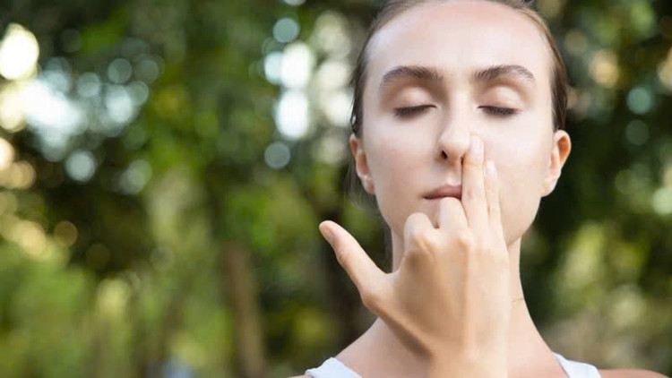 Ảnh minh họa/ Nguồn Internet