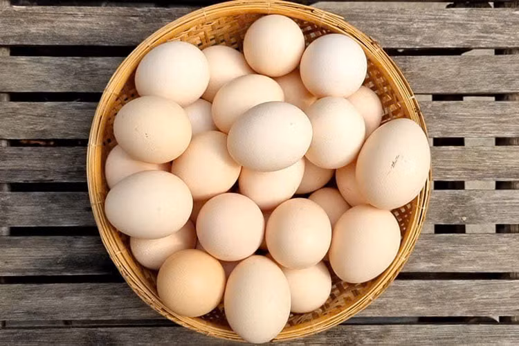 Ảnh minh hoạ - Nguồn: Internet