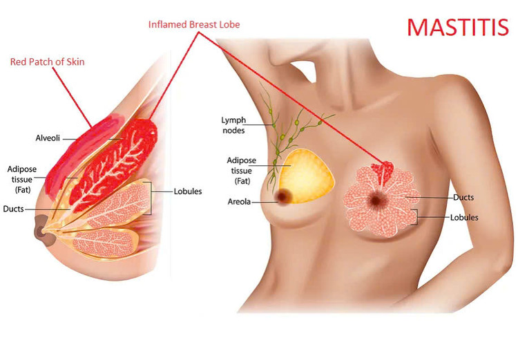 Ảnh minh họa/ Nguồn Internet