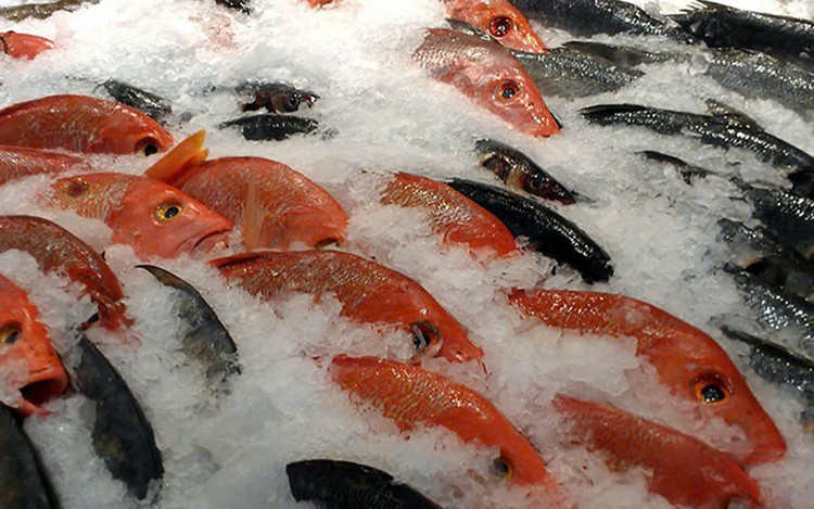 Hình minh hoạ/ Nguồn: Internet