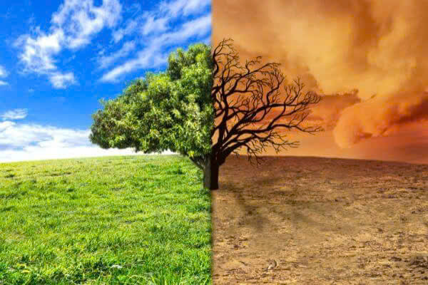 Ảnh minh hoạ- Nguồn: Internet