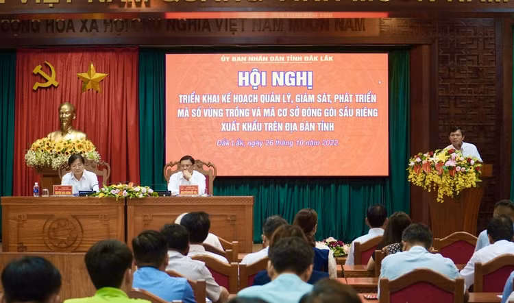 Tỉnh Đắk Lắk nỗ lực đưa công tác thiết lập, quản lý, giám sát, phát triển mã số vùng trồng, cơ sở đóng gói phục vụ xuất khẩu đi vào thực chất và hiệu quả hơn. Tỉnh Đắk Lắk nỗ lực đưa công tác thiết lập, quản lý, giám sát, phát triển mã số vùng trồng, cơ sở đóng gói phục vụ xuất khẩu đi vào thực chất và hiệu quả hơn.