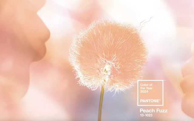 Sắc Peach Fuzz (cam đào) màu xu hướng của năm 2024. Ảnh VTV News