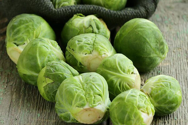 Ăn bắp cải Brussel rất hiệu quả trong việc giữ ấm cơ thể vào mùa đông. Ảnh minh họa