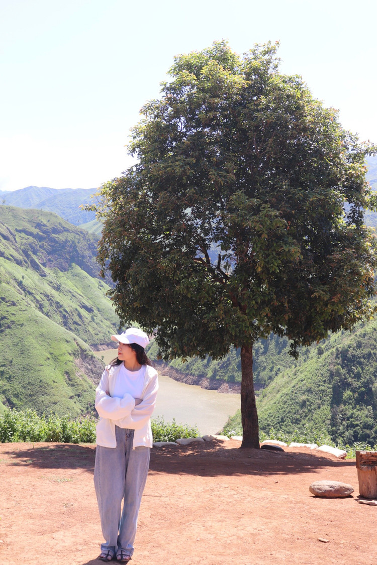 Check in Cây Cô đơn