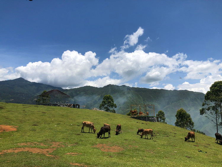 Thảo nguyên Tà Xùa