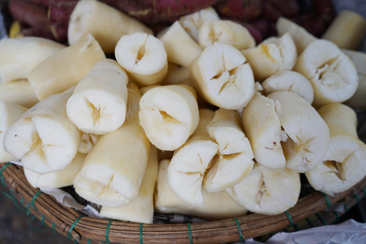 Loại củ trắng ngần, dẻo thơm giúp tăng cường hệ thống miễn dịch. Ảnh minh họa