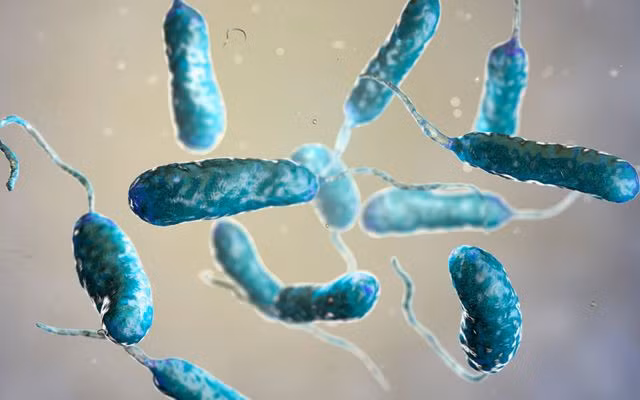 Cảnh báo ca tử vong đầu tiên do vi khuẩn “ăn thịt người” ở Hàn Quốc. Ảnh Getty Images Cảnh báo ca tử vong đầu tiên do vi khuẩn “ăn thịt người” ở Hàn Quốc. Ảnh Getty Images