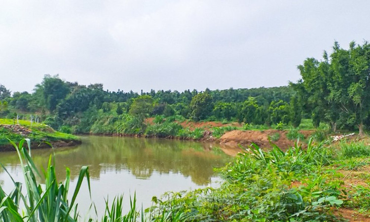 Sông Đại Nga, nơi xảy ra vụ đuối nước khiến 1 em học sinh tử vong.