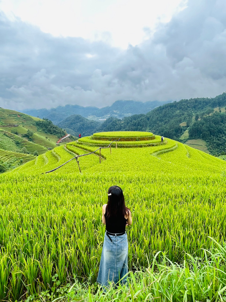 Lúa chín nơi đâu cũng có, nhưng đẹp đến mức xao xuyến tâm hồn thì khó có nơi nào vượt qua được ruộng bậc thang tại Mù Cang Chải.