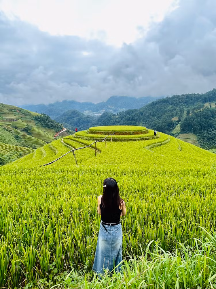 Lúa chín nơi đâu cũng có, nhưng đẹp đến mức xao xuyến tâm hồn thì khó có nơi nào vượt qua được ruộng bậc thang tại Mù Cang Chải.
