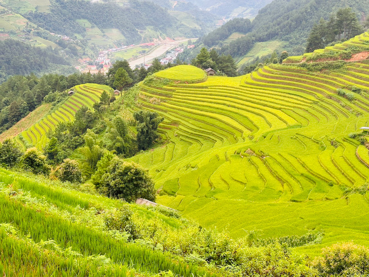 Từng thửa ruộng bậc thang như đua nhau uốn lượn, kéo dài đến tận chân trời, ẩn mình giữa thung lũng của những dãy núi cao hùng vĩ.
